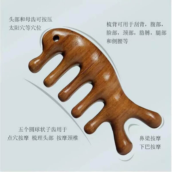 گواشا چوبی دلفینی یا 7 سر