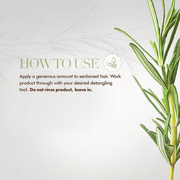 HOW TO USE Mielle Organics Rosemary Mint Strengthening Shampoo 1